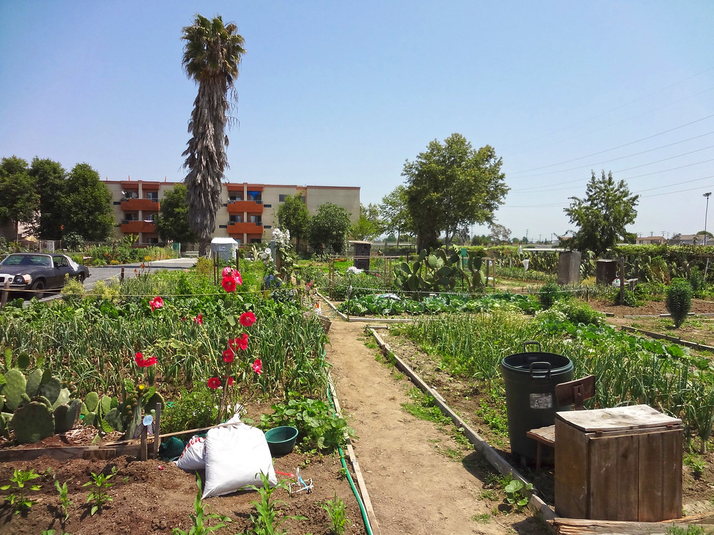 Bell Gardens Community Gardens (10) Bell Gardens Community… Flickr