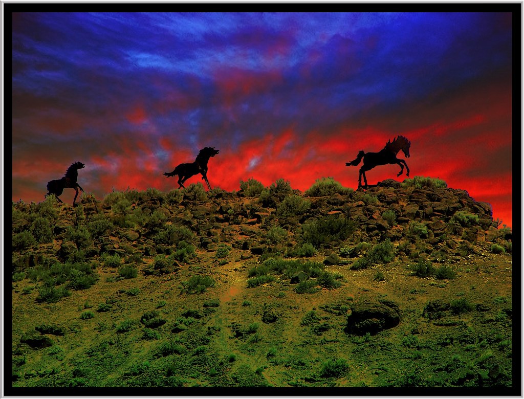 Wild Horses Washington State USA A sculpture of 15 wil… Flickr
