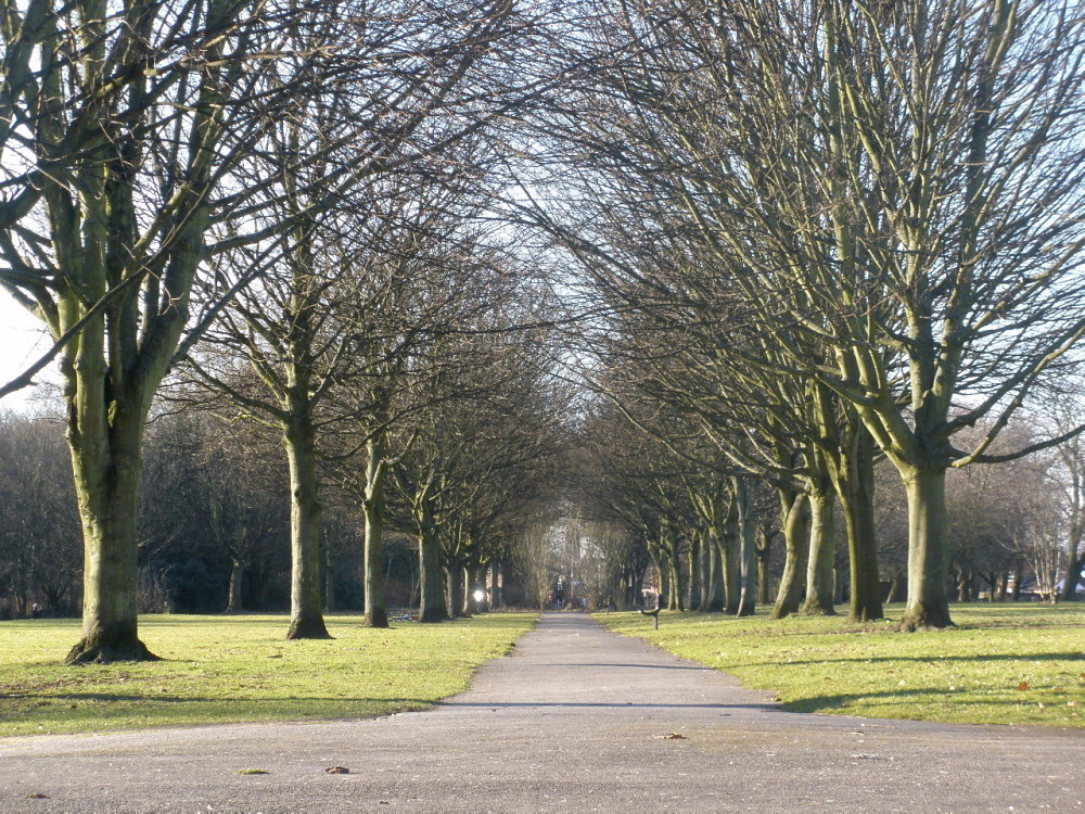 Avenue in Alexandra Park, Whalley Range, Manchester Flickr