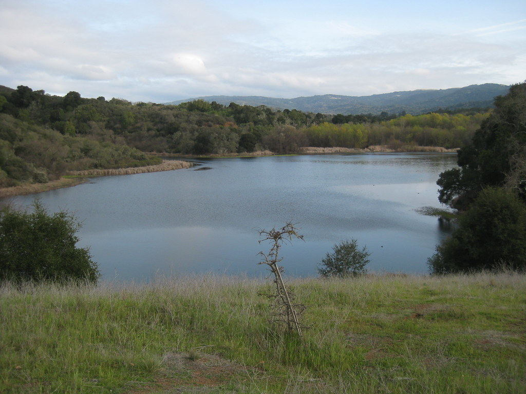 Rest stop above Searsville Lake avantro Flickr