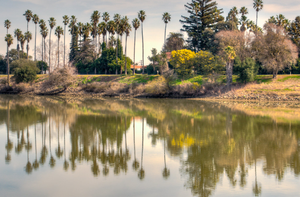 There is a home behind the Palm Trees The SacramentoSan J… Flickr