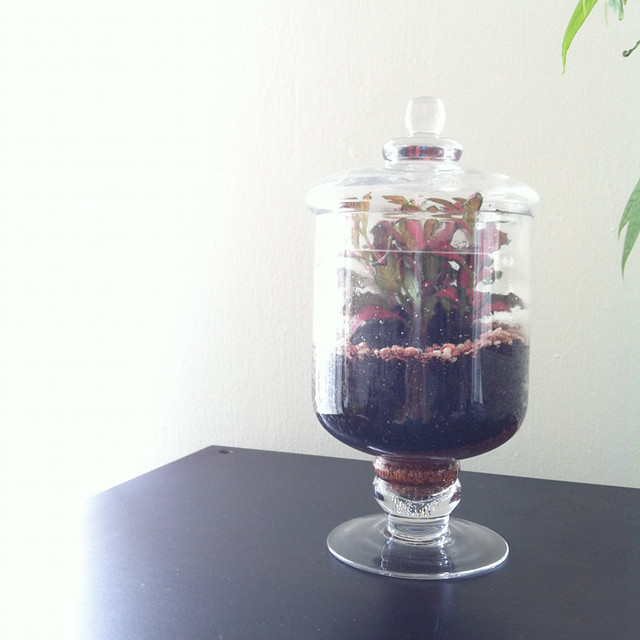 5 Cookie Cutter Sandy Flickr