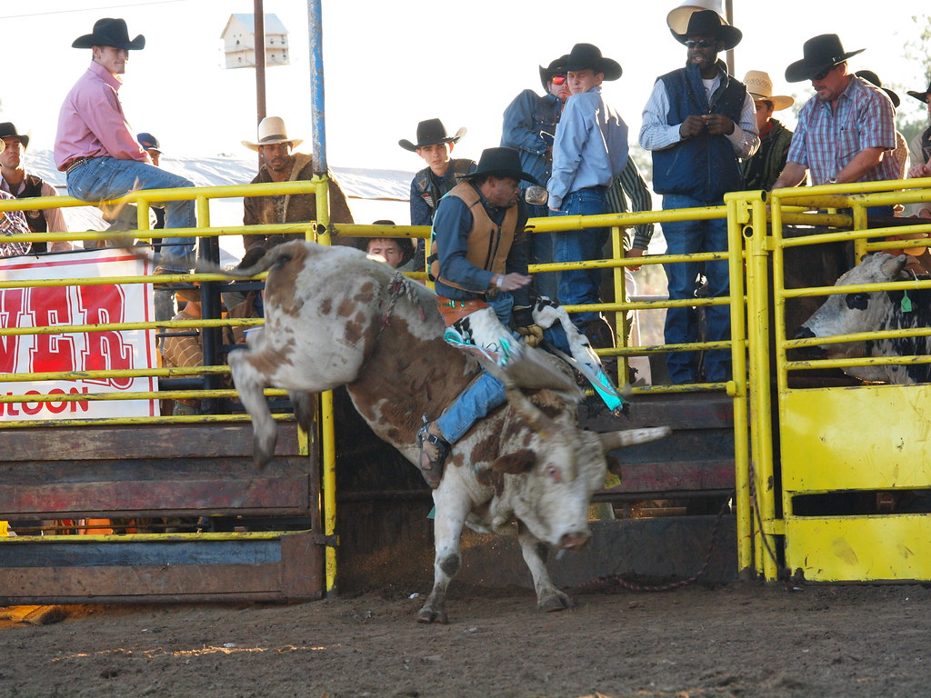 New Waverly Texas The Pitchin N the Pines New Years eve Bu… Flickr