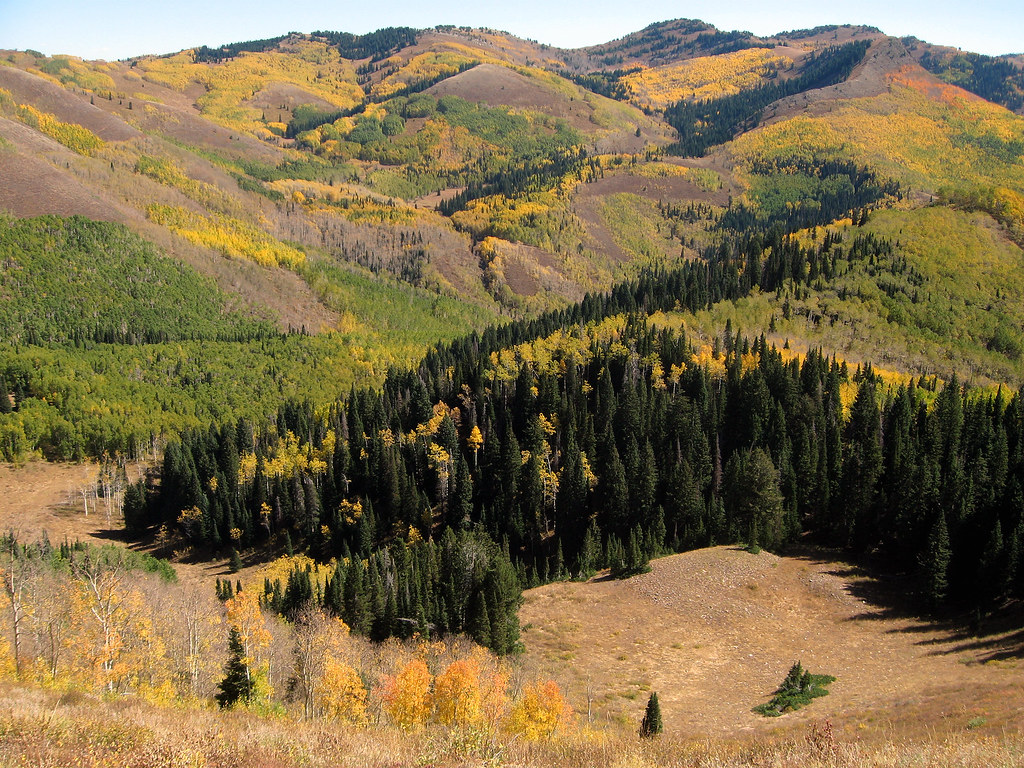 Mill D September 25 2015 boydechar Flickr