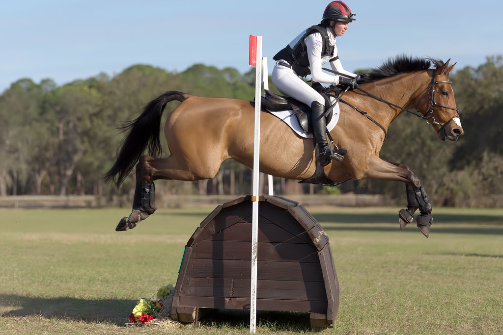Caroline Martin Rocking Horse Stables, Altoona, Florida Jim