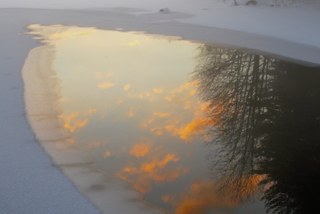 Pond reflection Jesse Southwick Flickr