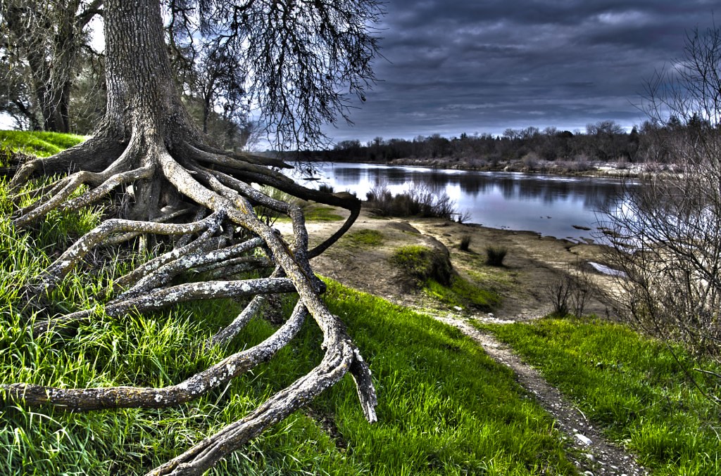 American River, Rancho Gardova, California Oleg Dimov Flickr