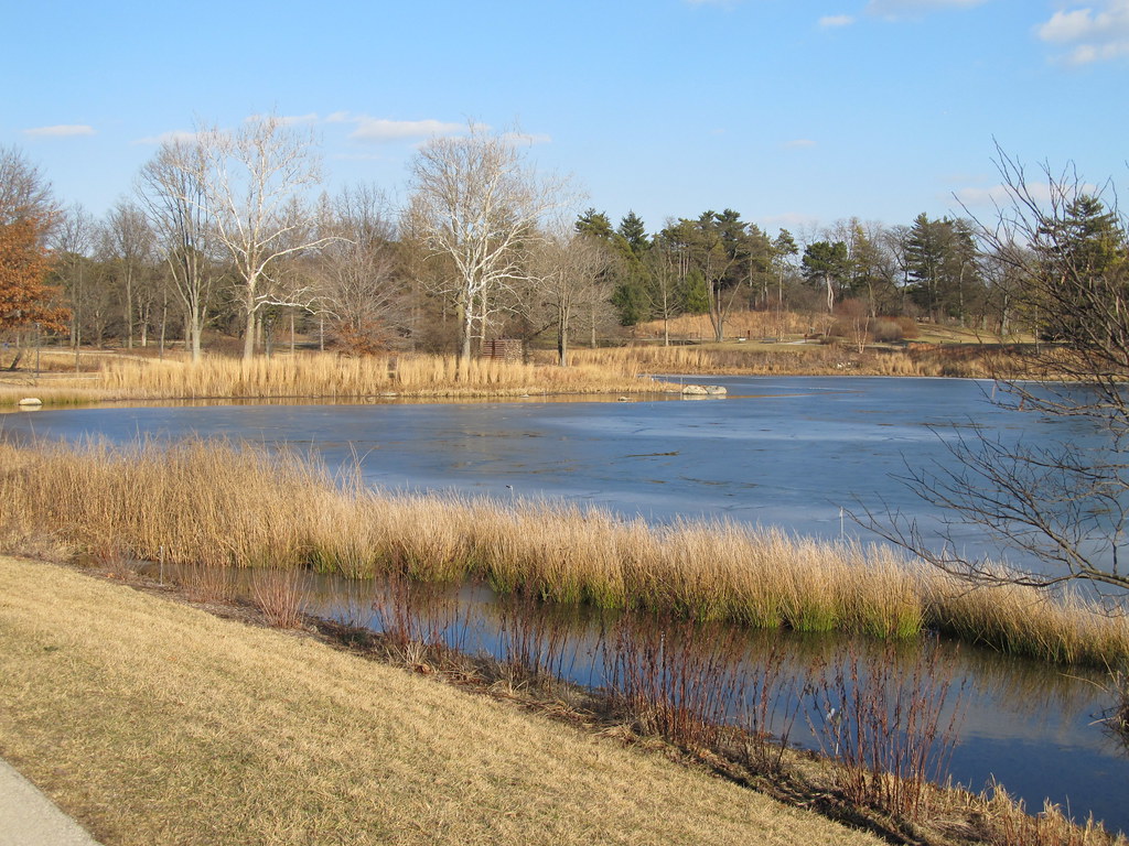 Meadow Lake in the Morton Arboretum in Lisle, IL John Junker Flickr