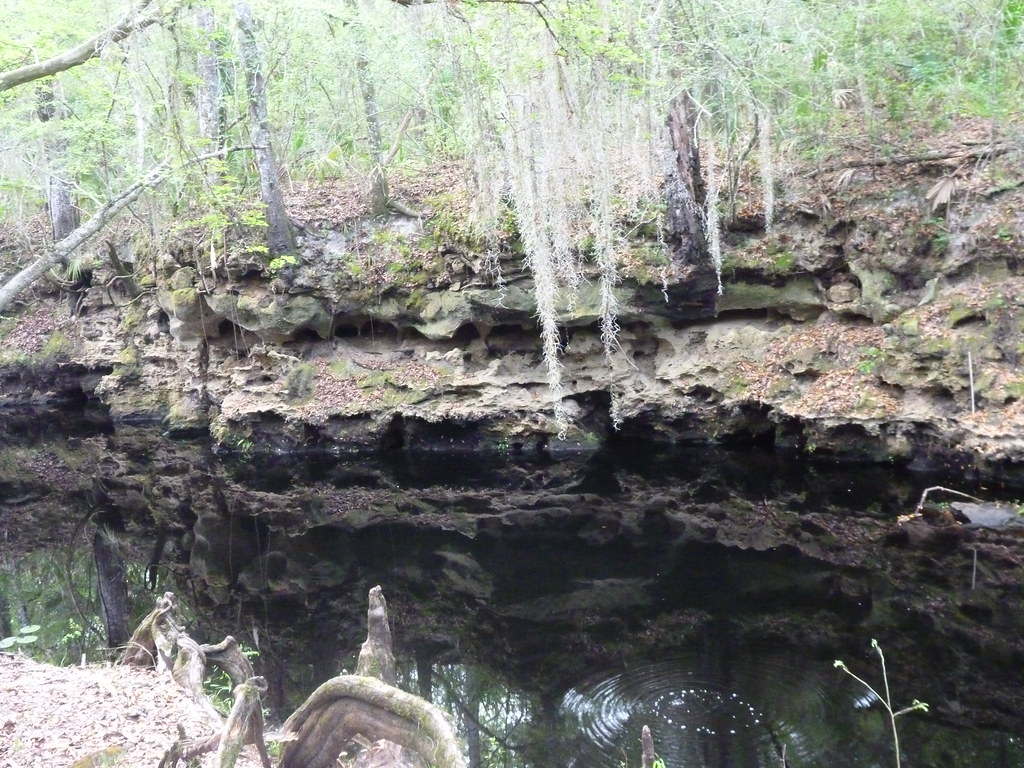 Elevation of Hunter Haven Ln, Lamont, FL, USA Topographic Map
