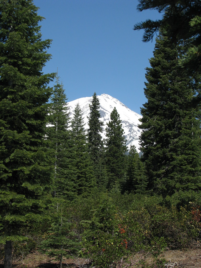 IMG_0048 Mt. Shasta from our Mt. Shasta Forest home. Kathy and Dave