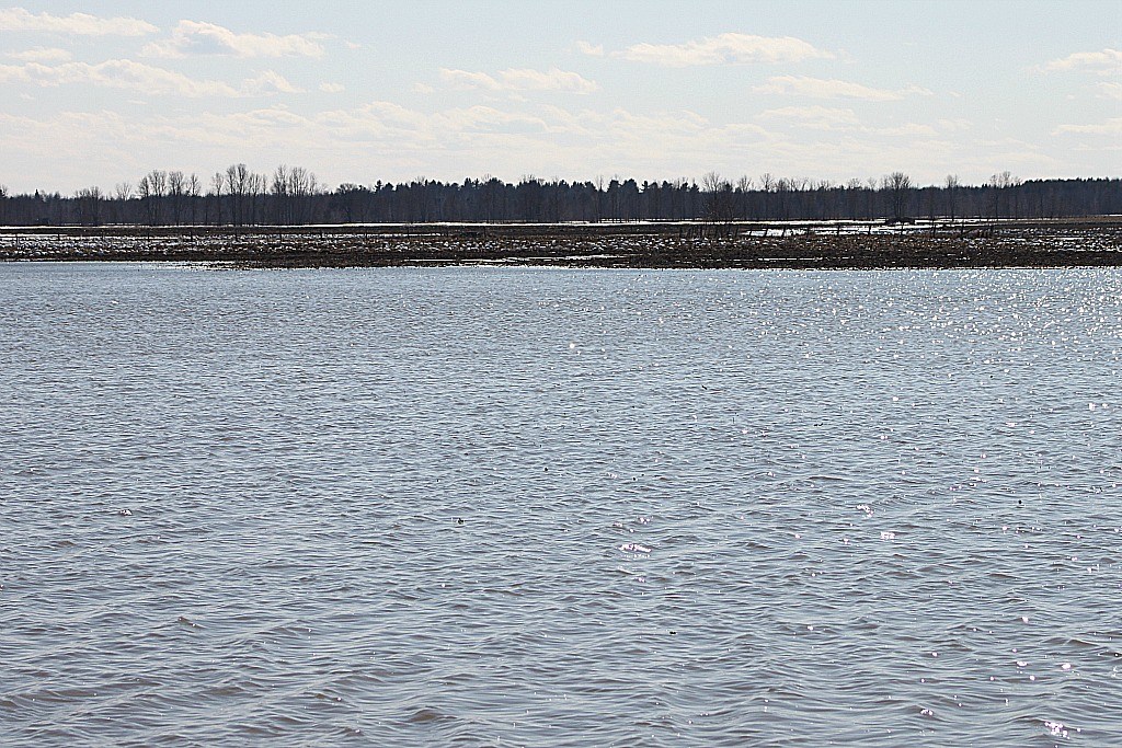 2014 Flooding 031 Some flooding north of Brinston, Ontario… Flickr
