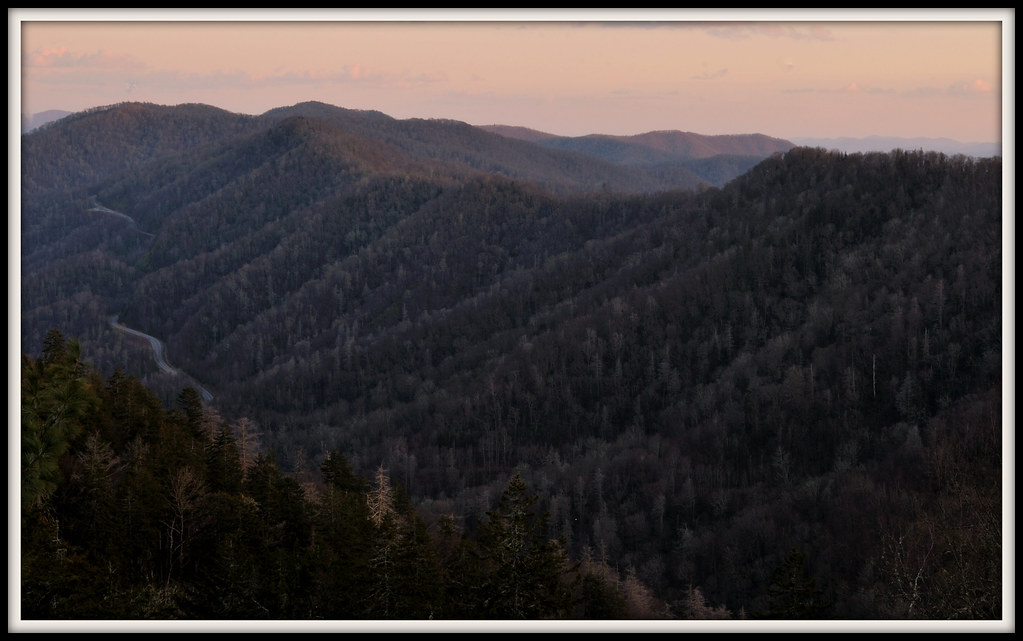 Great Smoky Mountains, March 2012 YM_T Flickr