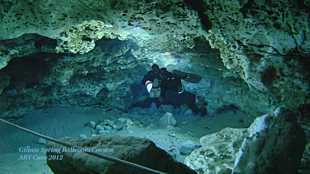 Ginnie Spring, Gilchrist county, FL a photo on Flickriver