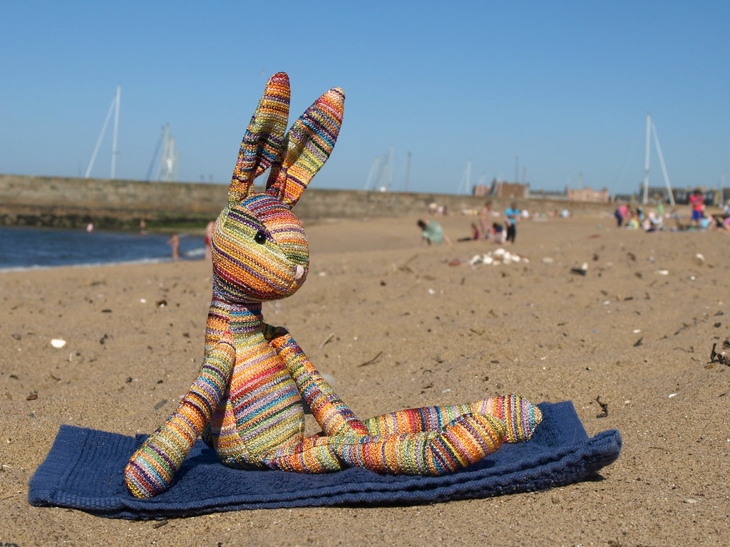 Beulah sunbathing on Musselburgh Beach, 26 May 2012 Flickr