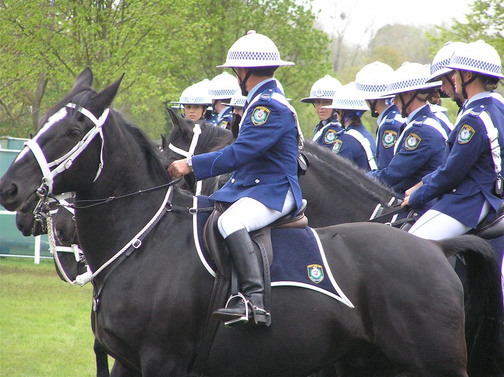 Flickriver Photoset 'NSW Mounted Police' by Alex von Schmidt