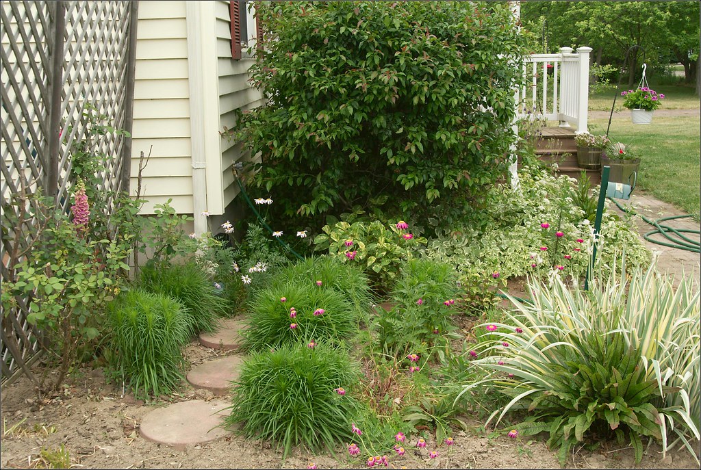 The Trellis Garden When we built the trellis we tore out a… Flickr