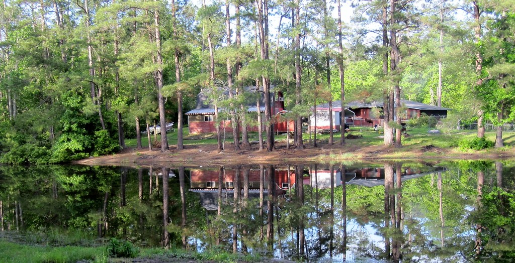 Looking out my backdoor. Ivanhoe Texas Don Flickr