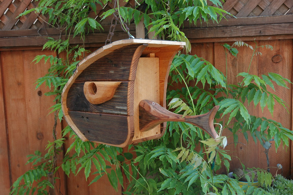 Fish Bird House Another bird house. Paul Miller Flickr
