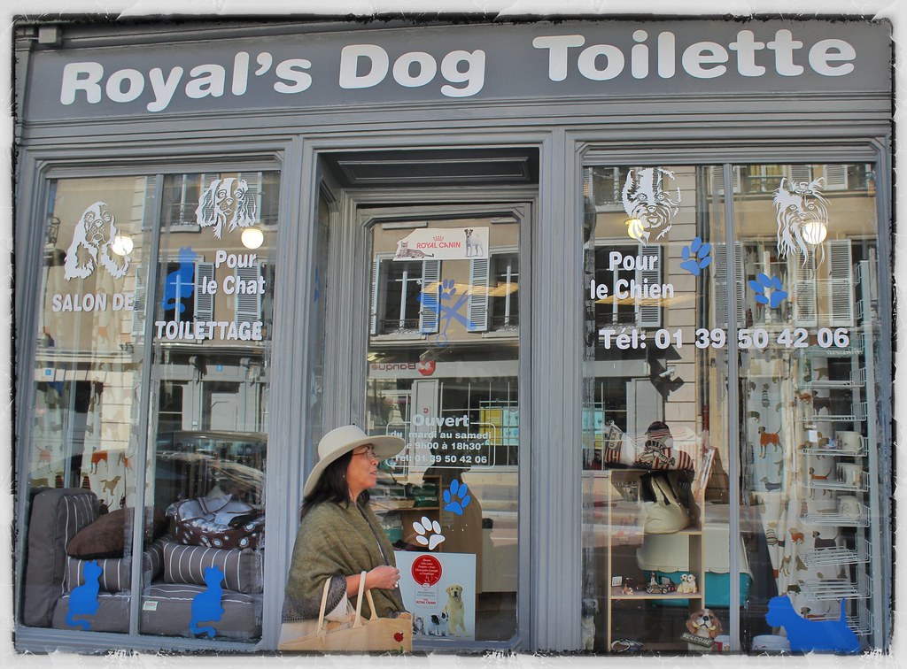 Versailles Dog toilet Ian Craven Flickr