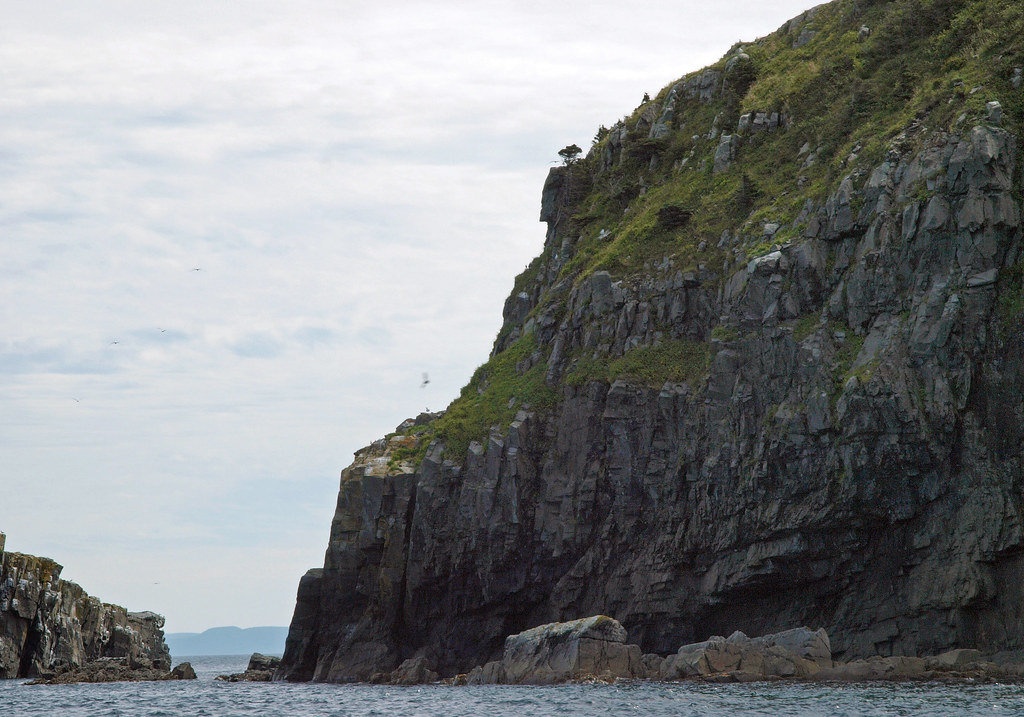 Harbour Grace 13 Harbour Grace is a town in Conception Bay… Flickr