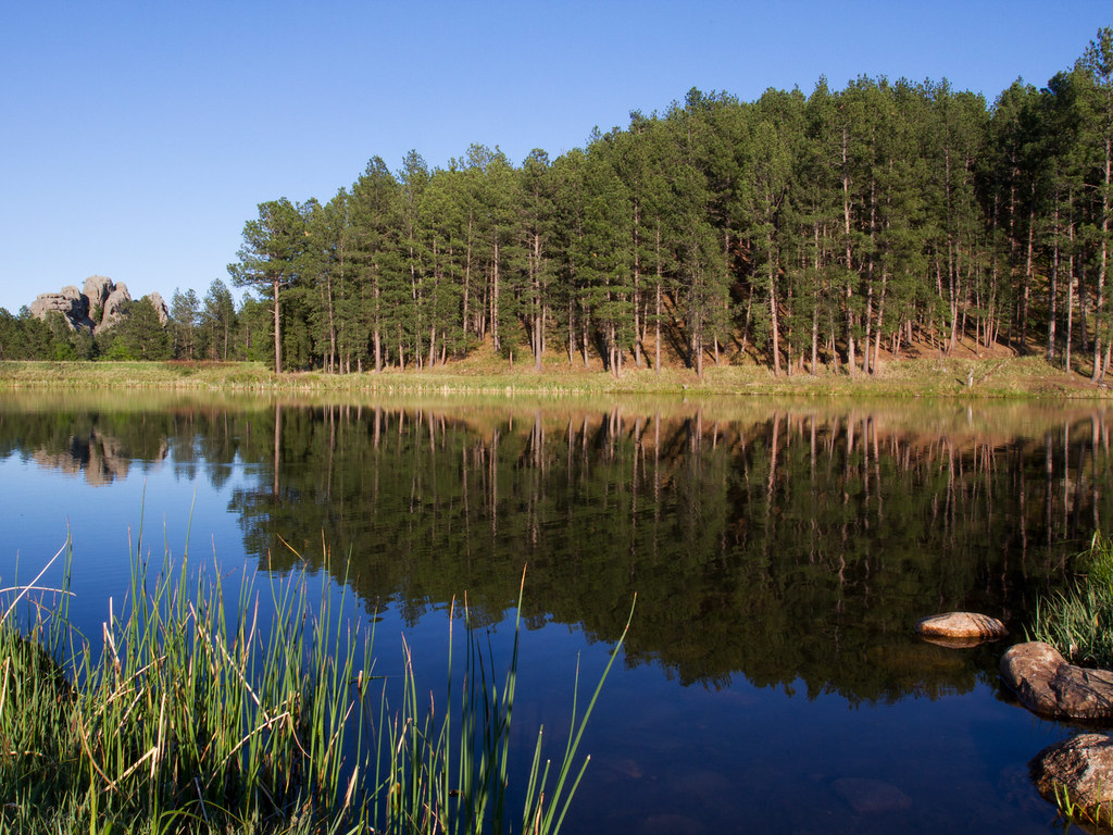 Lakota Lake Black Hills, South Dakota. Nat Carmichael Flickr