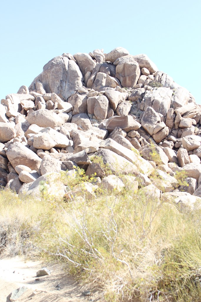 Joshua Tree National Park Geology Tour Road jshyun Flickr