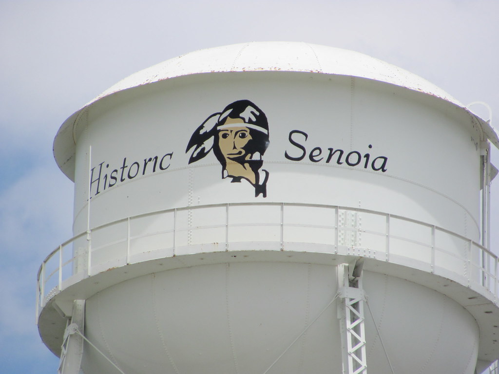IMG_1548 Water Tower Senoia, Ga Sherry Moore Flickr