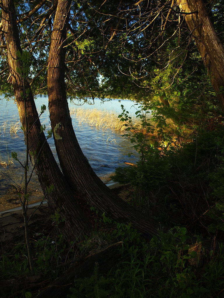Pickerel Lake Waterfront Homesite, Michigan Flickr