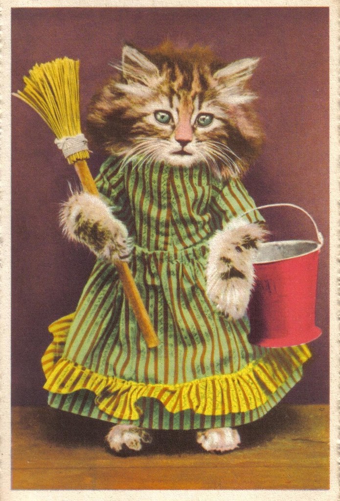 dressed cat with mop and bucket Lori Hannon Flickr