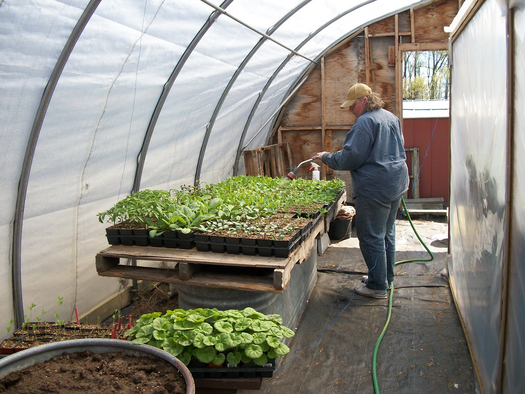 Green Thumb Gardener. Watering the baby plants, a daily ch… Flickr