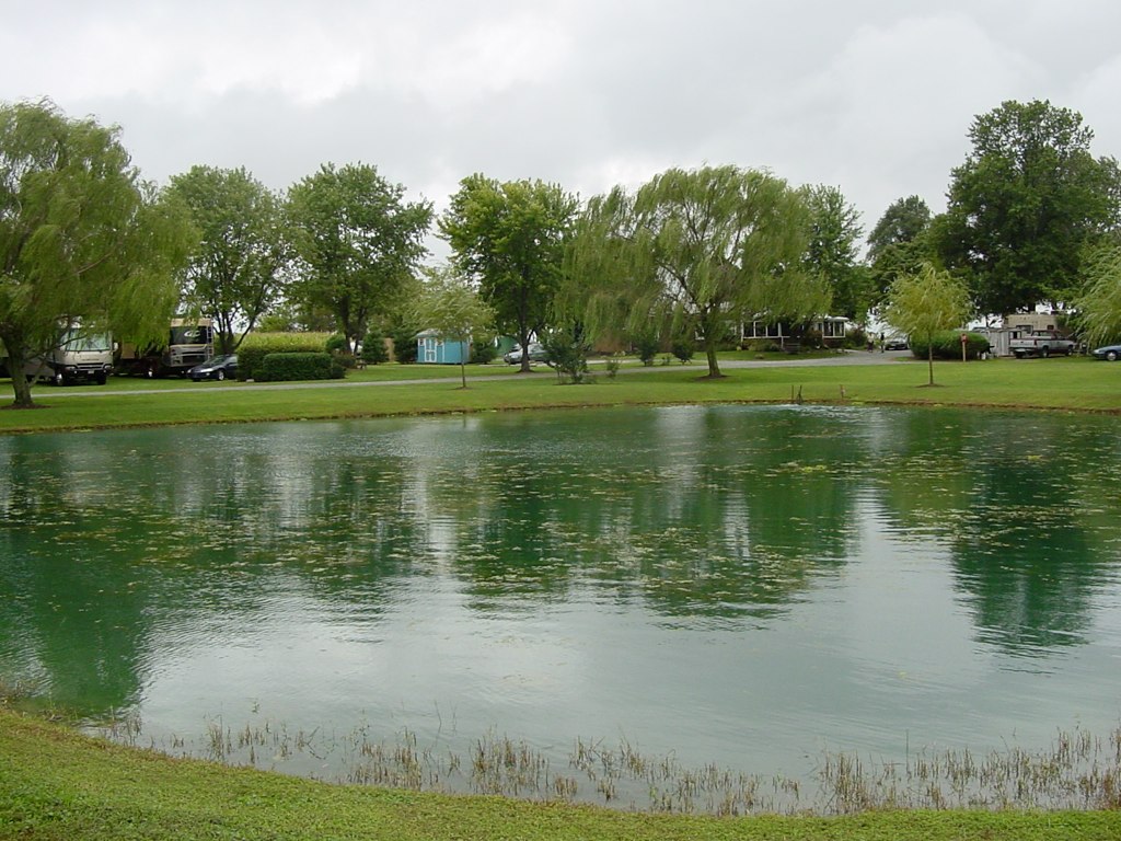 DSC05616 BayShore Campground, LLC Flickr