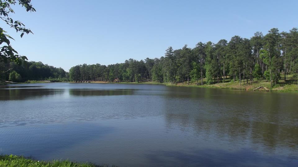 Zina MarshallMoseFlat Rock Park Visit Columbus GA Flickr