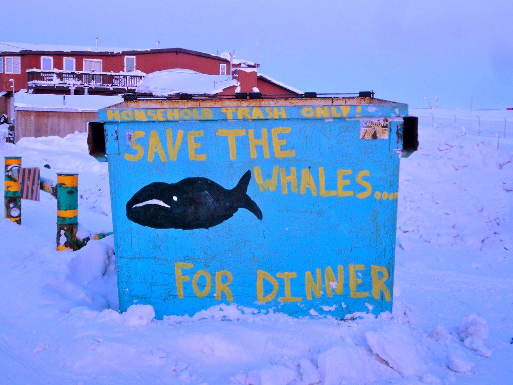 Save the whales .. Barrow, Alaska, USA Johannes Zielcke Flickr