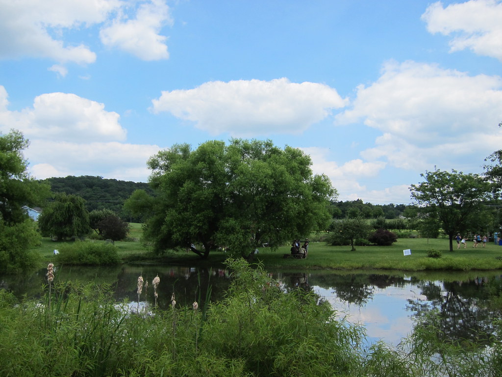 Pennsylvania Lavender Festival, Willow Pond Farm, Fairfiel… Flickr