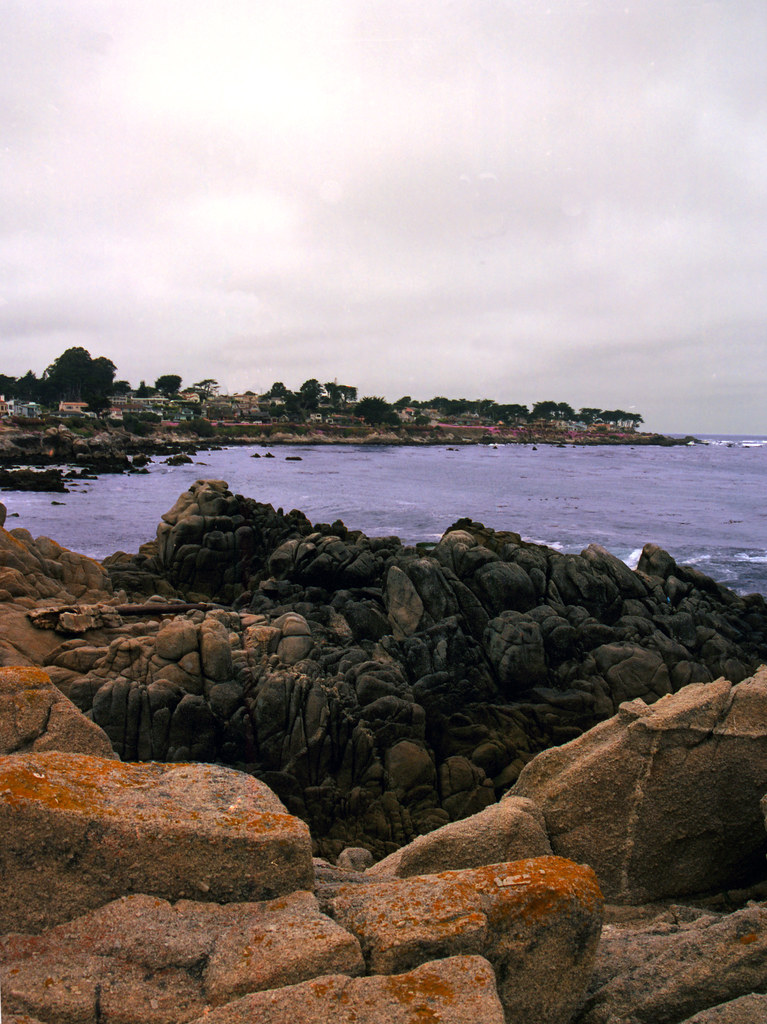 Pacific Grove Shoreline Pacific Grove Marine Gardens State… Flickr