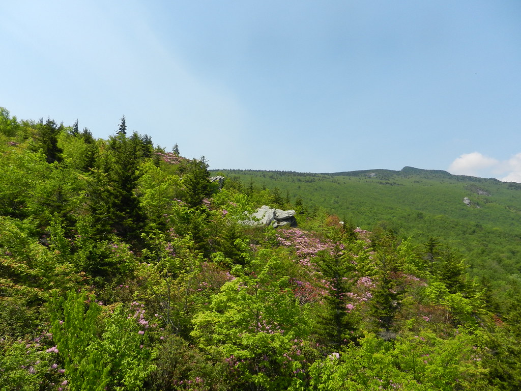 Memorial day weekend hiking 2012 069 Hope Zacek Flickr