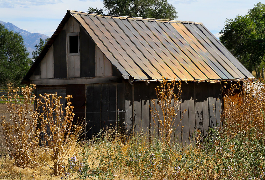 Metal Shed arbyreed Flickr
