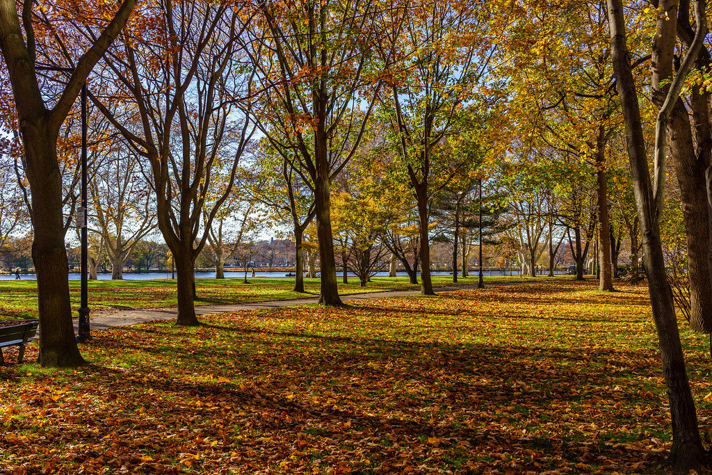 J. F. Kennedy Park Cambridge, MA YuHsin Chen Flickr