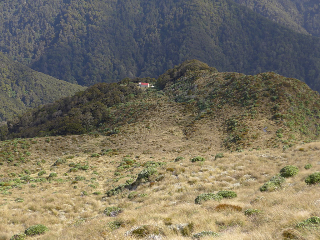 P1040799 Dorset Ridge hut tussock sunsets Flickr
