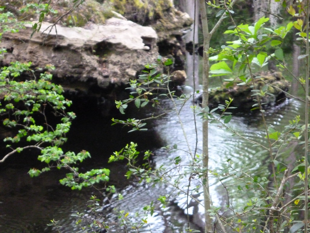 Elevation of Hunter Haven Ln, Lamont, FL, USA Topographic Map