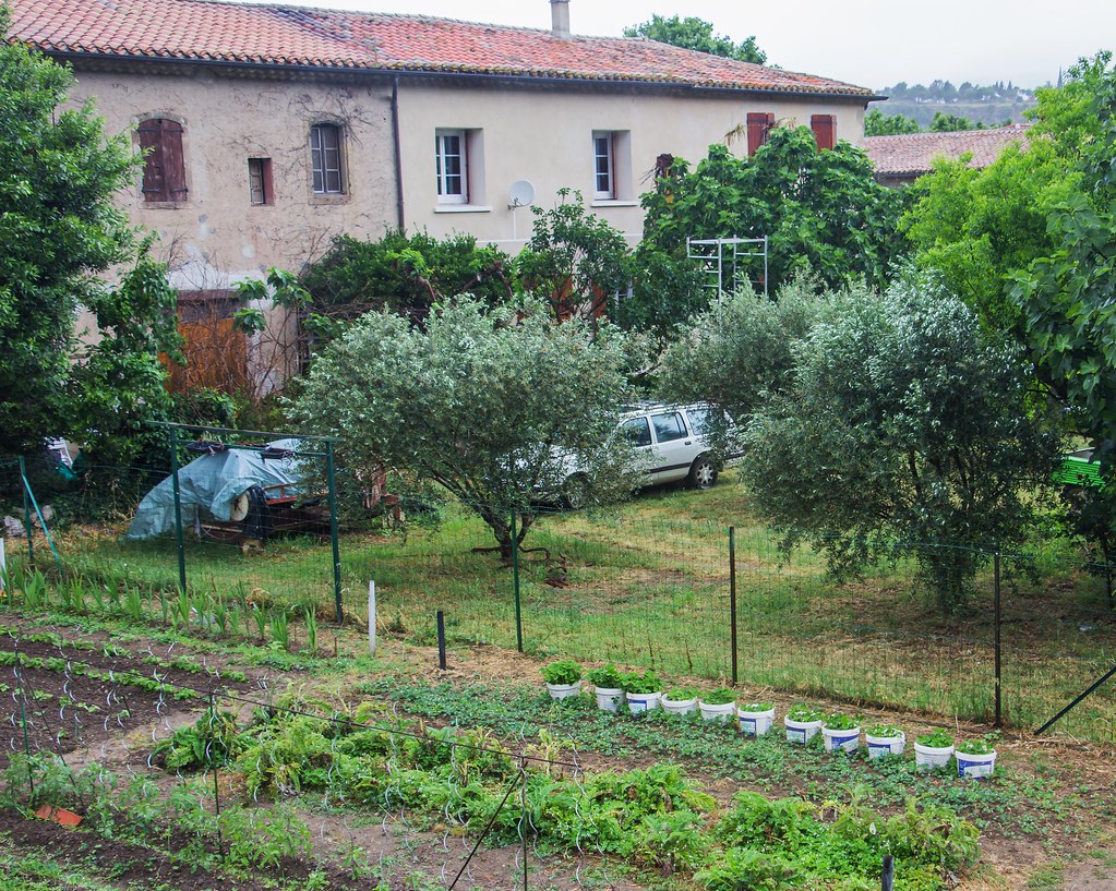 Ford Sierra estate (1) Seen in Lagrasse, France. Photo cou… Flickr