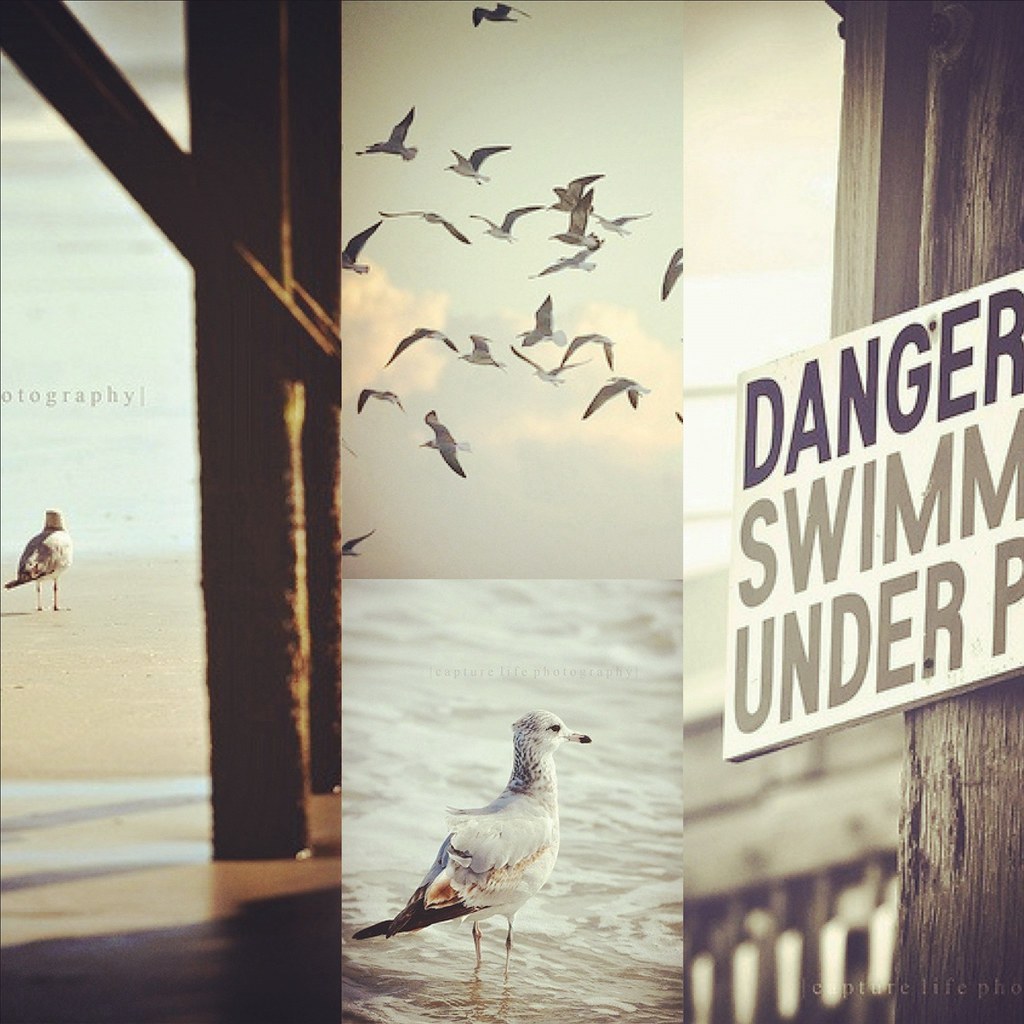 Elevation of Coalport, PA, USA Topographic Map Altitude Map