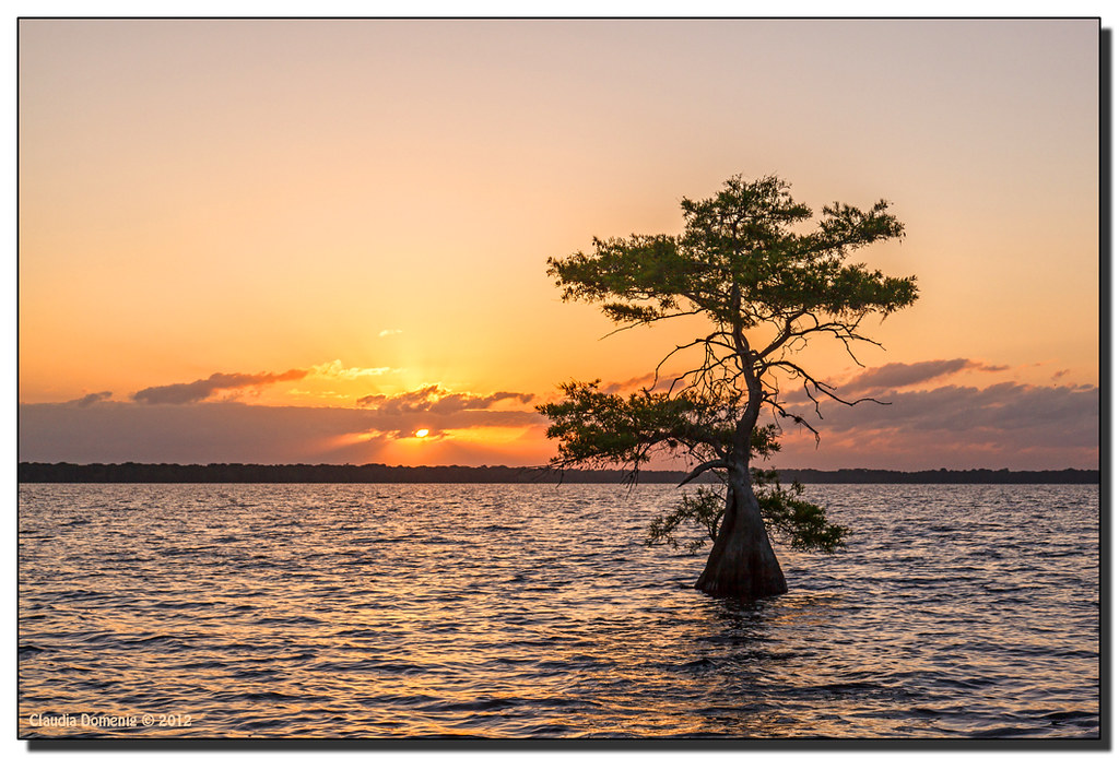 Blue Cypress Lake Sunrise Blue Cypress Lake, FL I have a f… Flickr