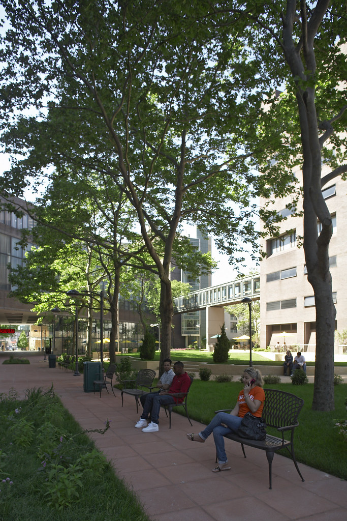 LIU BK Campus Long Island University Brooklyn Flickr