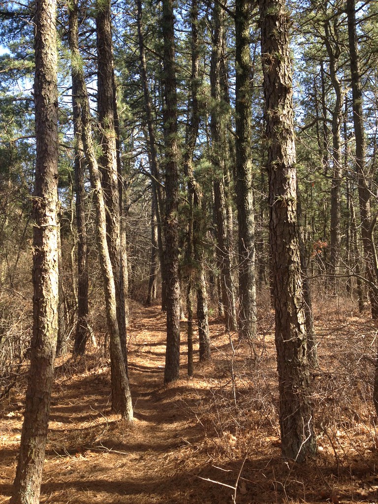 IMG_0373 Cranberry Bog County Park ClaudF Flickr