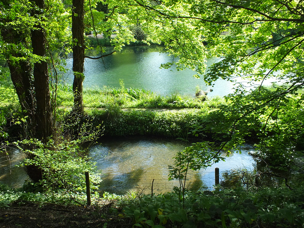 DSCF0626 Nailsworth stream and mill pond at Dunkirk Mill. Nikki