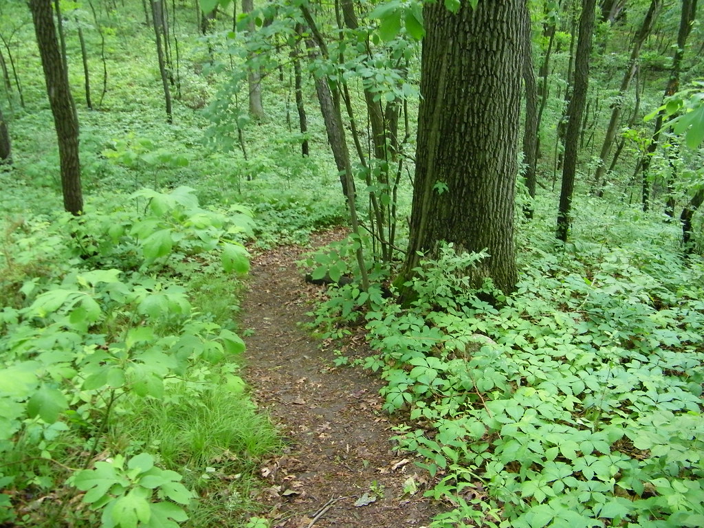 Park Lyndon County Park (Lyndon Township, Michigan) Flickr