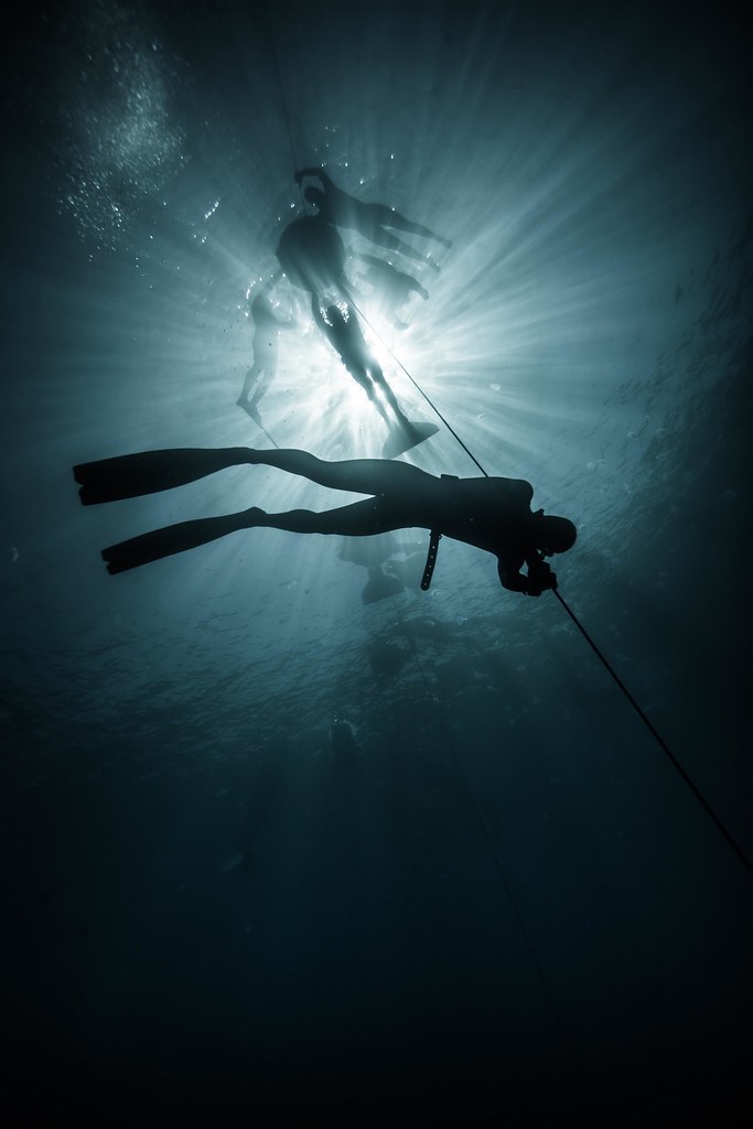 freediving 2 freedivers in dahab rafal meszka Flickr