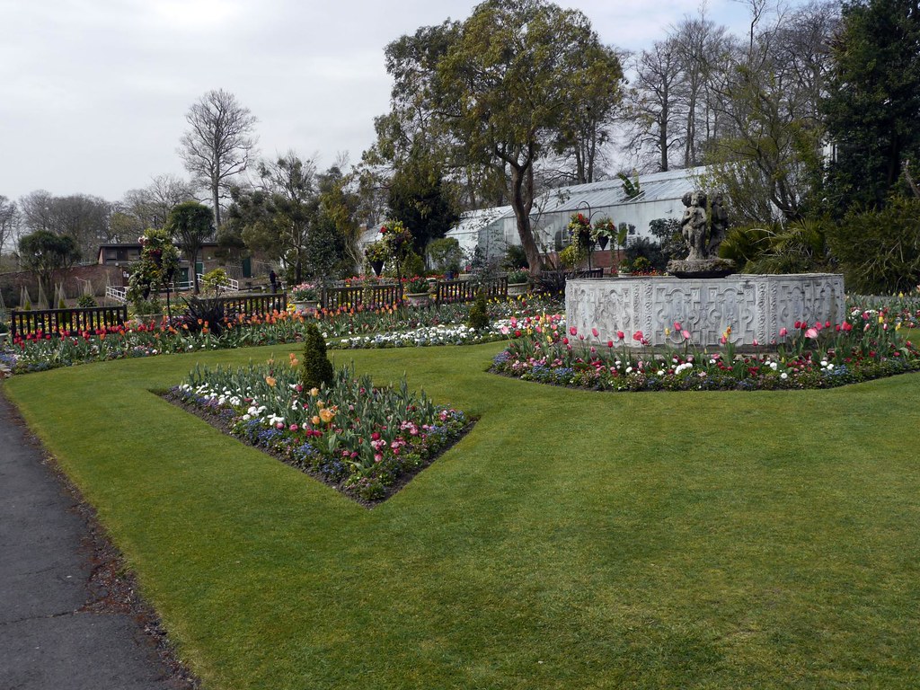 Flowers Swansea Botanical Gardens Singleton Park 5th Apr… Flickr