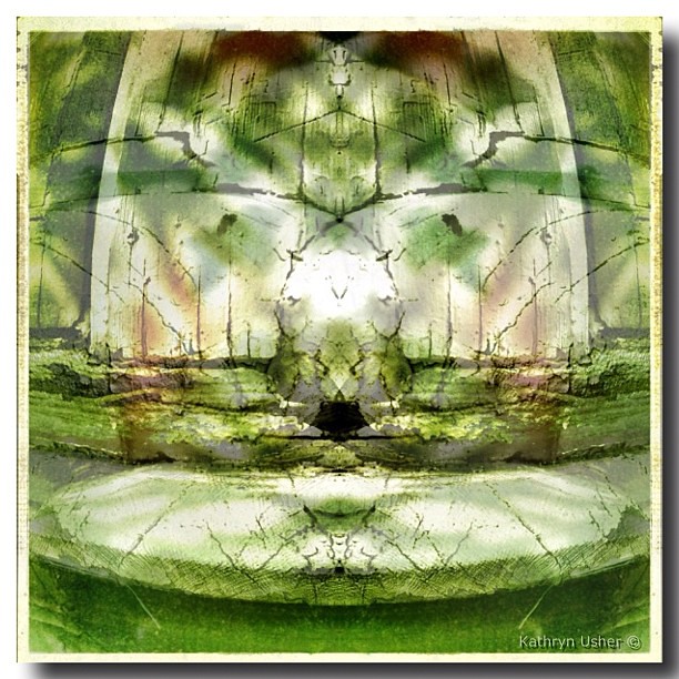 OgilvieWiener House 1896 Flickr